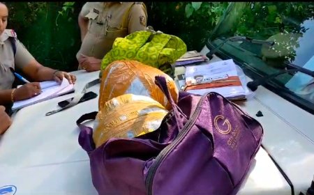 അടിമാലിയിൽ ലഹരി വസ്തുക്കൾ പിടികൂടി;  കഞ്ചാവും എംഡിഎംഎയുമായി യുവാവ് പോലീസ്  പിടിയിൽ