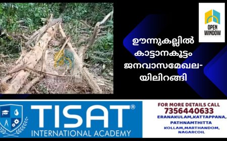 ഊന്നുകല്ലിൽ കാട്ടാനകൂട്ടം ജനവാസമേഖലയിലിറങ്ങി. വ്യാപക കൃഷിനാശം