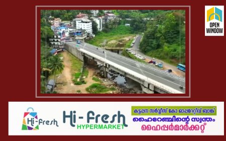 ഡീൻ കുര്യാക്കോസ് എം പി പറഞ്ഞത് പെരുംനുണ: ചെറുതോണി പാലത്തിന്‍റെ സര്‍വ്വീസ് റോഡുകള്‍ ടെണ്ടര്‍ ചെയ്തിട്ടില്ല -ആക്ഷന്‍ കൗണ്‍സില്‍