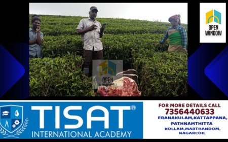 വീണ്ടും പുലിയുടെ ആക്രമണം;മൂന്നാറിലെ എസ്‌റ്റേറ്റ് മേഖലയില്‍  വന്യജീവി ആക്രമണത്തിന് ഇരയായി പശു കൊല്ലപ്പെട്ടു