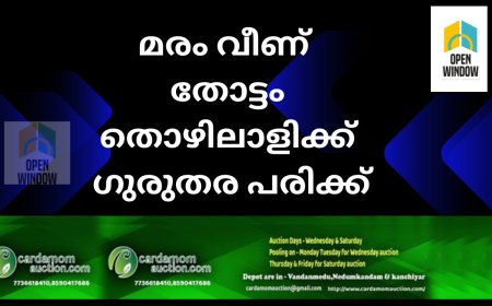 രാജകുമാരി വെങ്കലപാറയിൽ മരം വീണ് തോട്ടം തൊഴിലാളിക്ക് ഗുരുതര പരിക്ക്