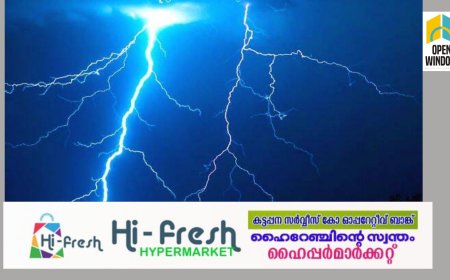 നെടുങ്കണ്ടം എഴുകുംവയലിൽ ഇടിമിന്നലേറ്റ് ഒരാൾക്ക് പരുക്ക്.