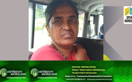 ഏലക്ക മോഷണം.ഉടുമ്പൻചോല സ്വദേശിനി അറസ്റ്റിൽ