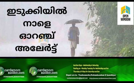 ഇടുക്കിയിൽ നാളെ ഓറഞ്ച് അലർട്ട് , ജില്ലാ കളക്ടർ ജാഗ്രത നിർദേശം പുറപ്പെടുവിച്ചു