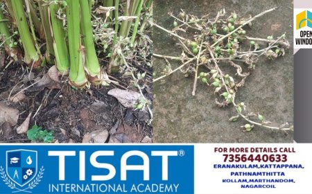 കാഞ്ചിയാർ കോടാലിപ്പാറയിൽ ഏലത്തിന്റെ ശരം മോഷ്ടിക്കുന്നതായി പരാതി.