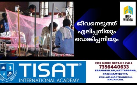 ജീവനെടുത്ത് എലിപ്പനിയും ഡെങ്കിപ്പനിയും; സംസ്ഥാനത്ത് ഈ മാസം പനിബാധിച്ച് മരിച്ചത് 32 പേർ