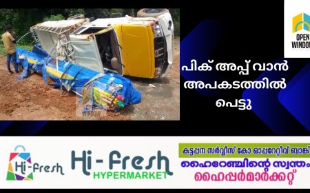 ഇടുക്കി മെഡിക്കൽ കോളേജിന് സമീപം പിക്ക് അപ്പ് വാൻ അപകടത്തിൽപ്പെട്ടു