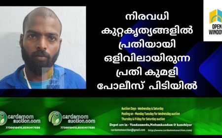 വൈക്കം താലൂക്ക് ആശുപത്രി തല്ലിതകർത്തത് ഉൾപ്പടെ നിരവധി കുറ്റകൃത്യങ്ങളിൽ പ്രതിയായി ഒളിവിലായിരുന്ന പ്രതി കുമളി പോലീസ്  പിടിയിൽ