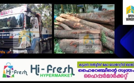 അയ്യപ്പൻ കോവിൽ 3 ചെയിൽ പ്രദേശത്ത്  അനധികൃത മരംമുറി; രണ്ട് പേർക്കെതിരെ വനം വകുപ്പ് കേസെടുത്തു, തടി കടത്താൻ ഉപയോഗിച്ച ലോറി  കസ്റ്റഡിയിലെടുത്തു