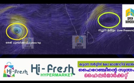 അറബിക്കടലിൽ തേജ് ചുഴലിക്കാറ്റ് രൂപപ്പെട്ടു; കേരളത്തിലും തമിഴ്നാട്ടിലും തുലാവർഷം എത്തിച്ചേർന്നു