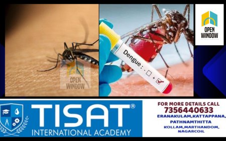 സംസ്ഥാനം ഡെങ്കിപ്പേടിയിൽ; രോഗികളുടെ എണ്ണം കഴിഞ്ഞ അഞ്ചുവർഷത്തിനിടെ ഏറ്റവും ഉയർന്ന നിരക്കിൽ