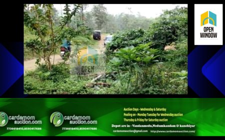 വണ്ടിപ്പെരിയാർ ഗ്രാമ്പി ജനവാസമേഖലയിൽ വീണ്ടും കടുവയുടെ സാന്നിധ്യം