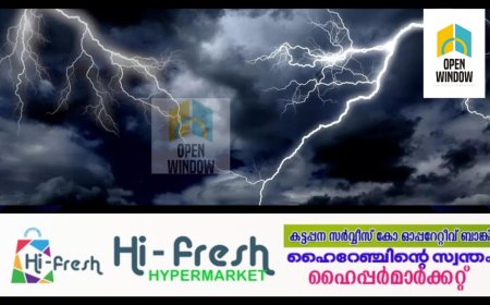 നെടുങ്കണ്ടം കരുണാപുരത്ത് ഇടിമിന്നലേറ്റ് രണ്ട് പേർക്ക് പരിക്ക്