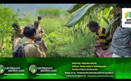 കട്ടപ്പന വാഴവരയിൽ വളർത്തുനായയെ ആക്രമിച്ചത് പുലിതന്നെയെന്ന് നാട്ടുകാർ: ഇരുട്ടിൽ തപ്പി വനം വകുപ്പ്