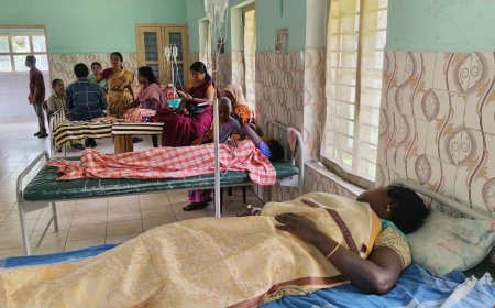 വണ്ടിപ്പെരിയാറിൽ കടന്നൽ ആക്രമണം; സ്ത്രീ തൊഴിലാളികൾക്ക് പരിക്ക്