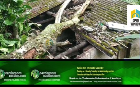 ഇടുക്കി നെടുംകണ്ടം ബാലഗ്രാമിൽ മരം വീണ് വീട് തകർന്നു 