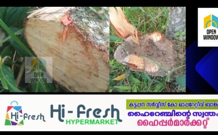 കമ്പംമെട്ടിൽ വഴിയരികിൽ നിന്ന ചന്ദനമരം മോഷ്ടാക്കൾ അപഹരിച്ചു