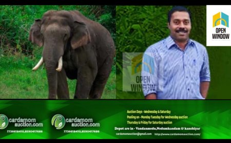 അരിക്കൊമ്പന് ഇണയും കുട്ടികളുമുണ്ടോ? : യാത്രയാക്കാൻ ഇവർ എത്തിയോ ?
ഡോക്ടർ അരുൺ സക്കറിയ വിശദീകരിക്കുന്നു