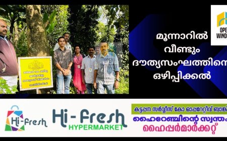 മൂന്നാറിൽ വീണ്ടും ദൗത്യസംഘത്തിന്റെ ഒഴിപ്പിക്കൽ 