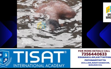 കരുണാപുരം   കമ്പംമെട്ടിൽ യുവാവിനെ ദുരൂഹ സാഹചര്യത്തിൽ മരിച്ച നിലയിൽ കണ്ടെത്തി