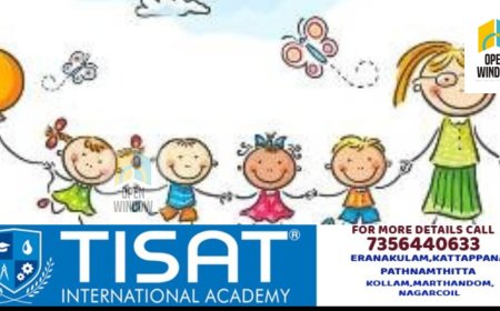 ശിശുദിനാഘോഷം വിപുലമായി സംഘടിപ്പിക്കും : ജില്ലാ കളക്ടർ