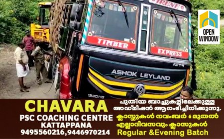 വണ്ടിപ്പെരിയാർ വാളാടിക്ക് സമീപം ഓടമേട് റോഡിൽ തടി ലോറി ഗർത്തത്തിൽ പെട്ട് ചരിഞ്ഞ് അപകടം.  ഒഴിവായത് വൻ ദുരന്തം