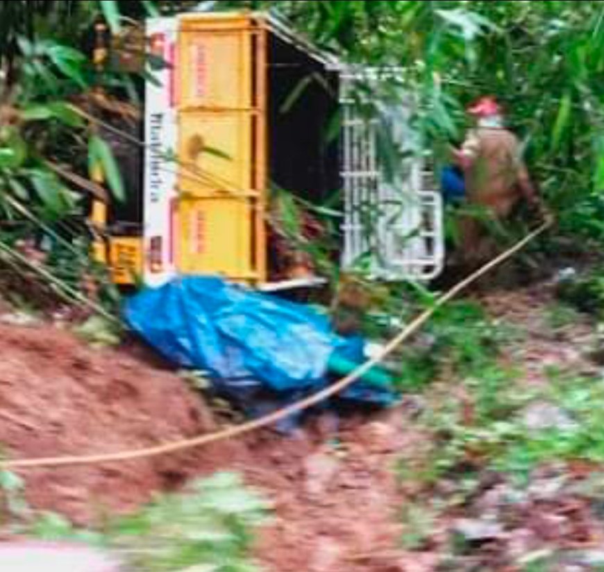 അടിമാലി ചീയപാറക്ക്‌ സമീപം പിക്കപ്പ് കൊക്കയിലേക്ക് മറിഞ്ഞു; ഒരാൾ മരിച്ചു