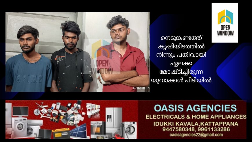 നെടുങ്കണ്ടത്ത് കൃഷിയിടത്തില്‍ നിന്നും പതിവായി ഏലക്ക മോഷ്ടിച്ചിരുന്ന യുവാക്കള്‍ പിടിയില്‍