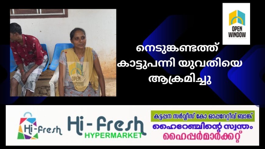 നെടുങ്കണ്ടത്ത് യുവതിയെ കാട്ടുപന്നി ആക്രമിച്ചു