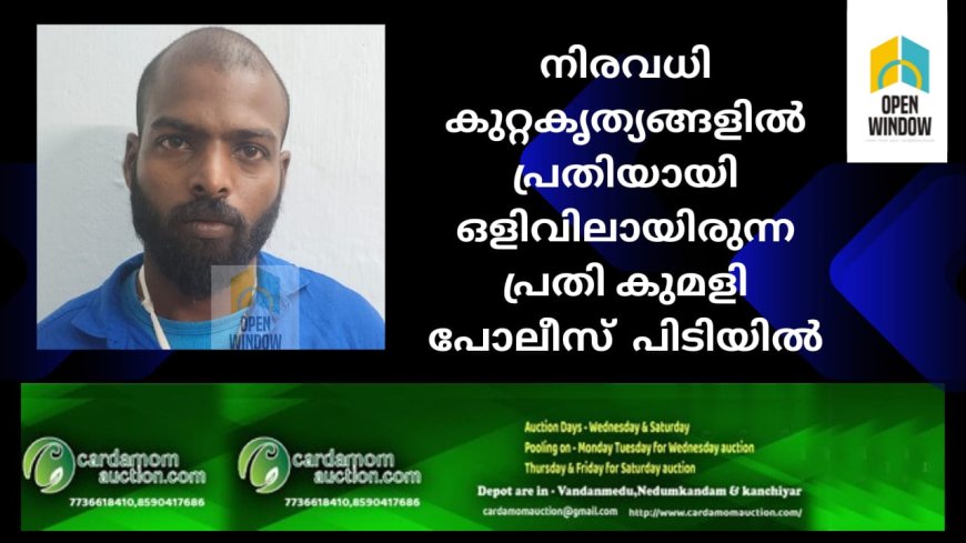 വൈക്കം താലൂക്ക് ആശുപത്രി തല്ലിതകർത്തത് ഉൾപ്പടെ നിരവധി കുറ്റകൃത്യങ്ങളിൽ പ്രതിയായി ഒളിവിലായിരുന്ന പ്രതി കുമളി പോലീസ്  പിടിയിൽ