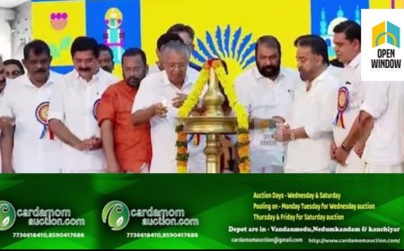 എല്ലാ വർഷവും കേരളീയം സംഘടിപ്പിക്കുമെന്ന് മുഖ്യമന്ത്രി