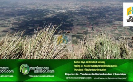 ചതുരംഗപാറയിലെ ഭൂ വിഷയങ്ങളില്‍ ലോകായുക്ത പ്രത്യേക സംഘം  അന്വേഷണം ആരംഭിച്ചു