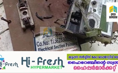 തങ്കമണിയിൽ കഴിഞ്ഞ രാത്രിയിലുണ്ടായ ശക്തമായ ഇടിമിന്നലേറ്റ് വീടിന്റെ വയറിംങ് കത്തി നശിച്ചു