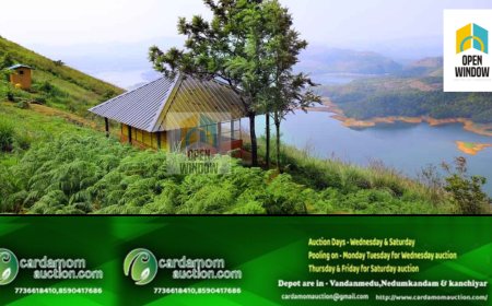 ഇടുക്കി വന്യജീവി സങ്കേതത്തിൽ കുടുങ്ങിയ യുവാവിനെ രക്ഷപ്പെടുത്തി