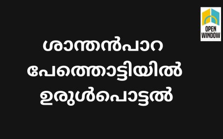 ശാന്തൻപാറ പേത്തൊട്ടിയിൽ ഉരുൾപൊട്ടൽ