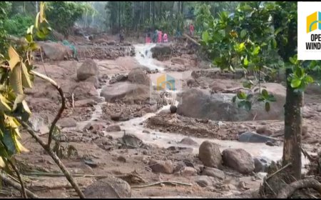 ശാന്തൻപാറ ഉരുൾ പൊട്ടലിൽ 20 ഹെക്ടറിൽ അധികം കൃഷി നാശം. ഒൻപത് ഹെക്ടറോളം ഭൂമി പൂർണ്ണമായും ഒലിച്ചു പോയി