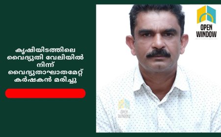 കൃഷിയിടത്തിലെ വൈദ്യുതി വേലിയിൽ നിന്ന് വൈദ്യുതാഘാതമേറ്റ് കർഷകൻ മരിച്ചു