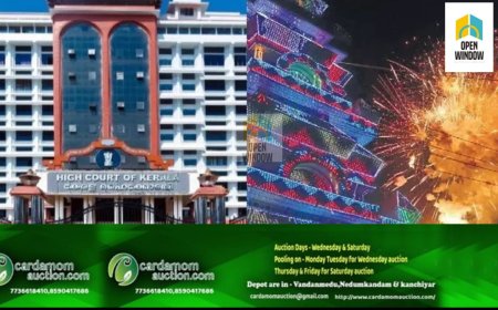 വെടിക്കെട്ട് നിരോധന ഉത്തരവ് ഹൈക്കോടതി ഭാഗികമായി റദ്ദാക്കി