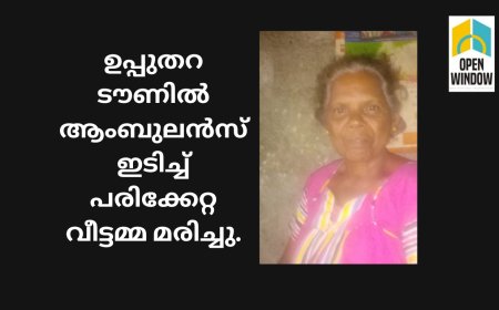 ഉപ്പുതറ ടൗണിൽ ആംബുലൻസ് ഇടിച്ച് പരിക്കേറ്റ വീട്ടമ്മ മരിച്ചു
