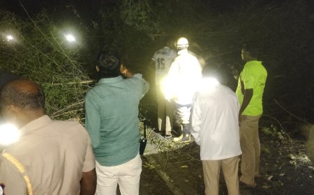 കമ്പംമെട്ട് - കമ്പം അന്തർ സംസ്ഥാന പാതയിൽ മണ്ണിടിച്ചിൽ; ഗതാഗതം തടസ്സപ്പെട്ടു.