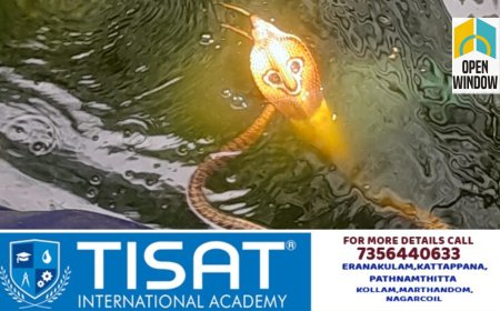 ഉപ്പുതറ വളകോട് ഒമേഗയിൽ പടുത കുളത്തിൽ സ്വർണ നിറത്തിലുള്ള പാമ്പ്