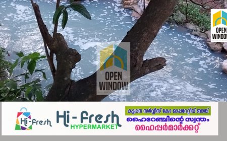 കട്ടപ്പന പാറക്കടവ് ശാന്തിപ്പടി തോട്ടിൽ വെള്ളം പതഞ്ഞെഴുകിയത് ആശങ്ക ഉയർത്തുന്നു