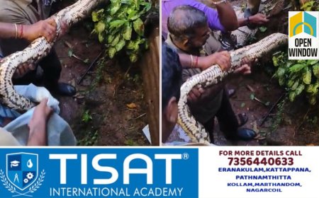 ഏലപ്പാറ കോഴിക്കാനത്ത് നിന്ന് പെരുമ്പാമ്പിനെ പിടികൂടി