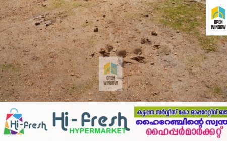 കാഞ്ചിയാർ കോവിൽമലയിൽ പൂച്ചപ്പുലിയുടെ സാന്നിധ്യം; വളർത്തുനായയെ പുലി കൊന്നു