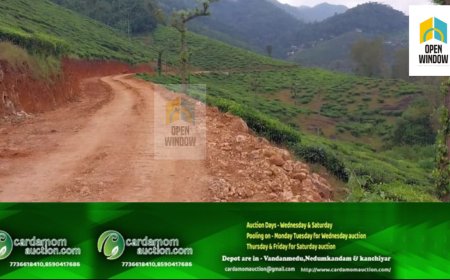 ഏലപ്പാറ  ഹെലിബറിയ - ശാന്തി പാലം  റോഡിന്റെ നിർമ്മാണ പ്രവർത്തനങ്ങൾ പുരോഗമിക്കുന്നു