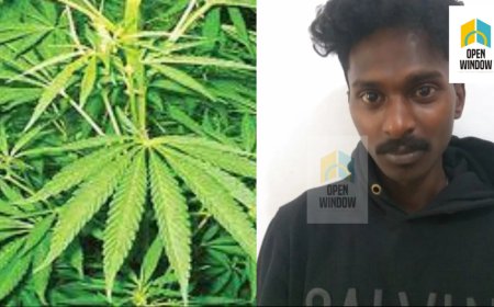 കഞ്ചാവുമായി കട്ടപ്പന നിർമ്മലാസിറ്റി സ്വദേശി അറസ്റ്റിൽ