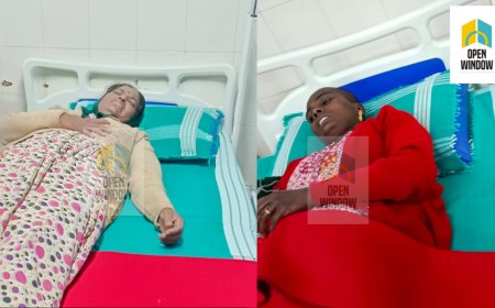 മൂന്നാറിൽ കാട്ടാനയെ കണ്ട് ഭയന്ന് ഓടുന്നതിനിടയിൽ വീണ് തൊഴിലാളി സ്ത്രീകൾക്ക് പരിക്കേറ്റു