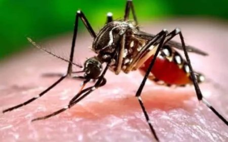 ഡെങ്കിപ്പനി ബാധിച്ച് മൂന്ന് വയസുകാരി മരിച്ചു