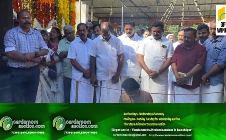 കാഞ്ചിയാർ നരിയംപാറ പുതിയ കാവിലമ്മയ്ക്ക് പൊങ്കാലയർപ്പിച്ച് ആയിരങ്ങൾ സായൂജ്യമടഞ്ഞു.