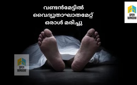 വണ്ടൻമേട്ടിൽ വൈദ്യുതാഘാതമേറ്റ് ഒരാൾ മരിച്ചു